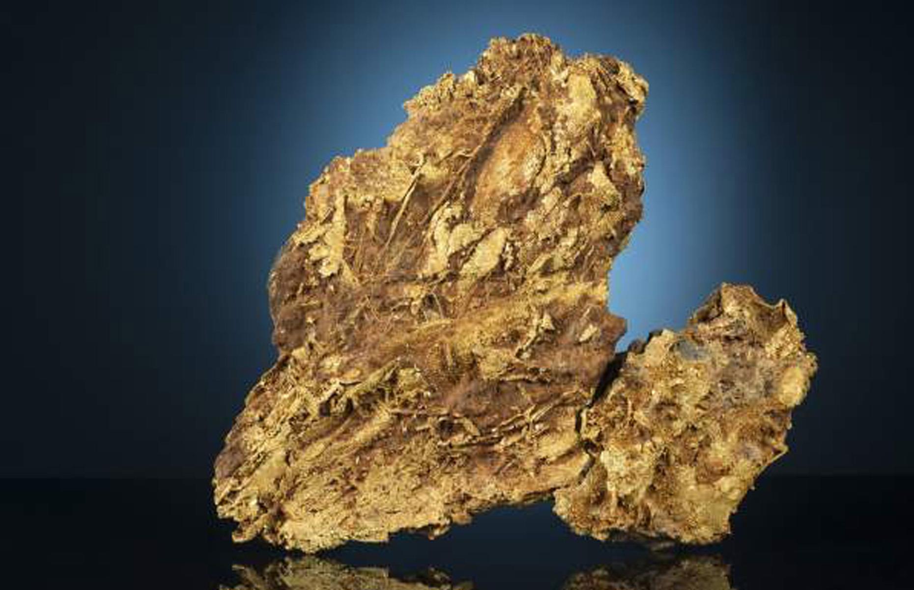 Colorado: a 13.5lb gold nugget